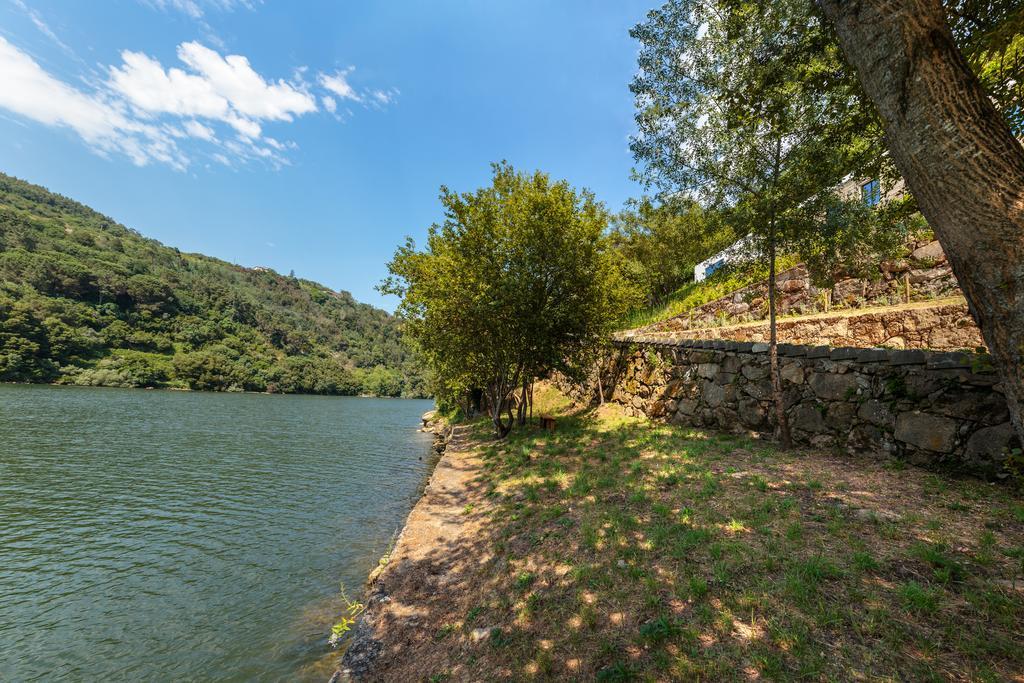 Douro Green Castelo de Paiva Extérieur photo